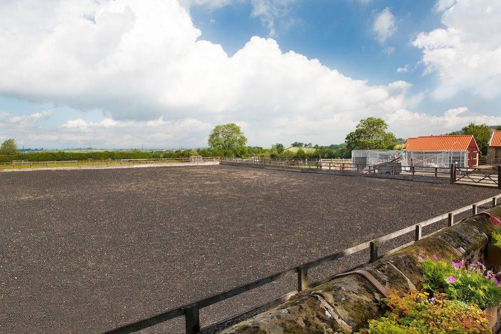 Hotel Woodlands Farm Osmotherley  Exteriér fotografie